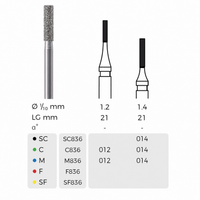 Diamond Dental Burs- Cylinder Flat End (ISO110)